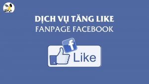 dịch vụ tăng like